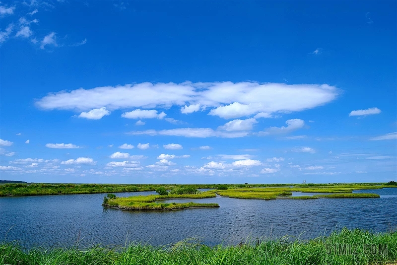 生態(tài)系統的發(fā)育和進(jìn)化——生態(tài)系統發(fā)育的特點(diǎn)