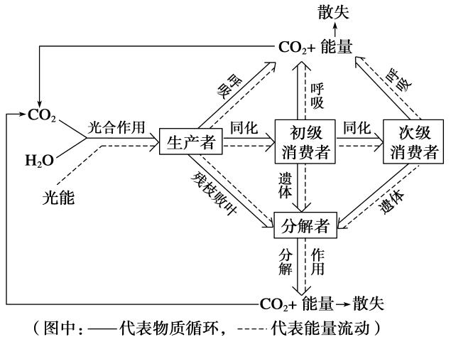 生態(tài)系統的物質(zhì)循環(huán)——物質(zhì)循環(huán)的主要特點(diǎn)